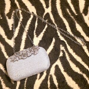 Elegant Silver Clutch Bag